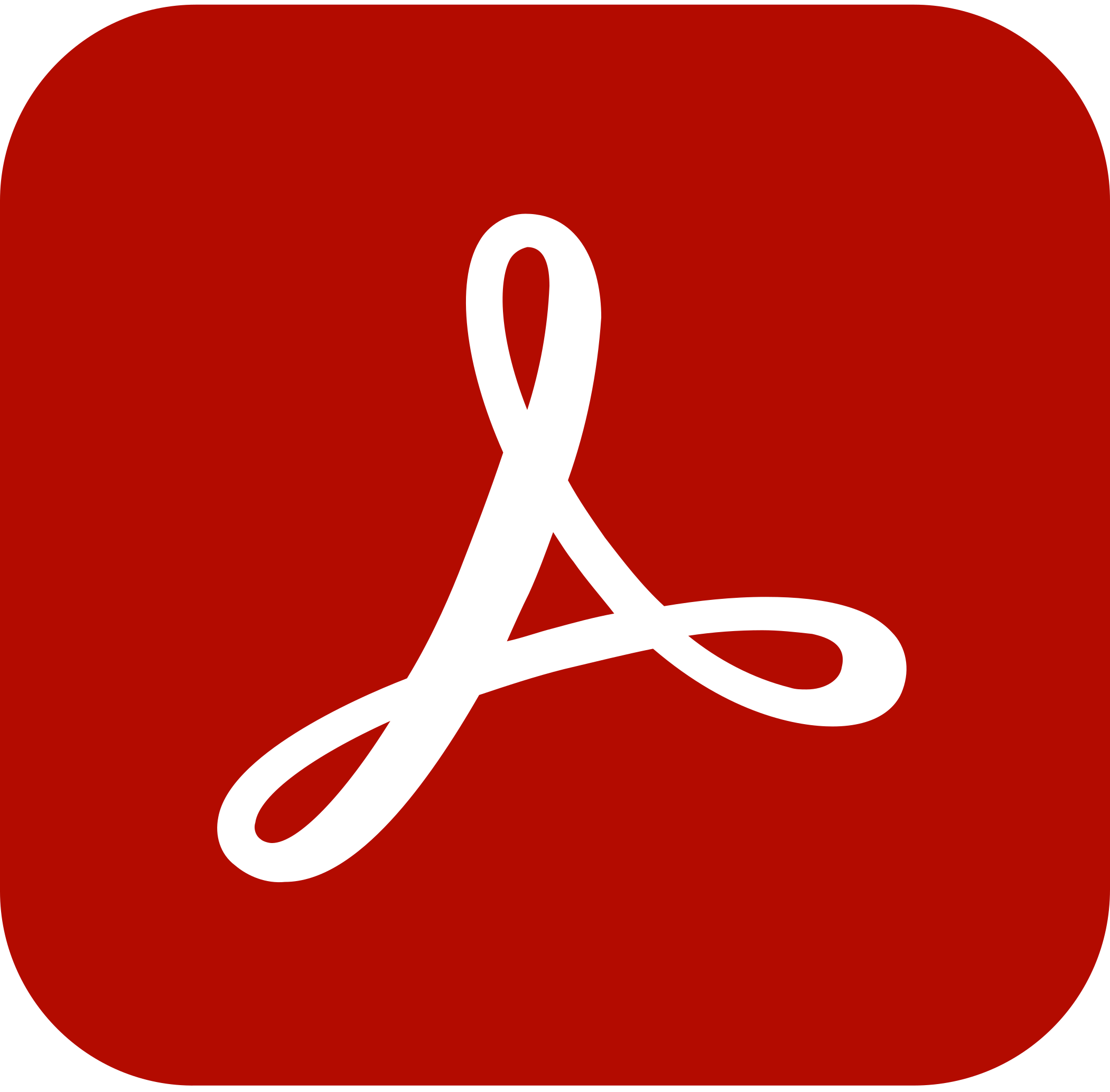 Adobe Icon.